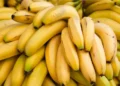 متحدث وزارة الزراعة يكشف حقيقة زيادة وزن الموز 80% بعد الحصاد