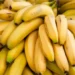 متحدث وزارة الزراعة يكشف حقيقة زيادة وزن الموز 80% بعد الحصاد