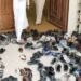 الأوقاف تتحرك بعد فيديو تحصيل أموال مقابل حفظ الأحذية بالمسجد