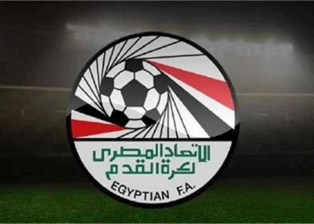 اتحاد الكرة يوجه رسالة مؤثرة لمنتخب مصر بعد الملحمة أمام الأرجنتين: شكرًا لكم
