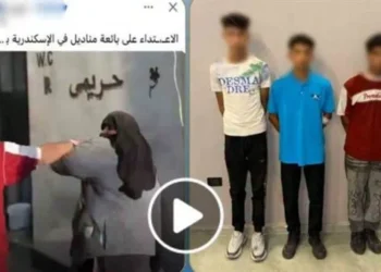 ضبط 3 طلاب بتهمة التعدي على بائعة بالسب والضرب في الإسكندرية