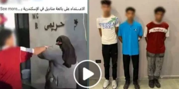 ضبط 3 طلاب بتهمة التعدي على بائعة بالسب والضرب في الإسكندرية
