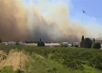 حرائق الغابات تجبر 10 آلاف شخص في فرنسا على ترك منازلهم