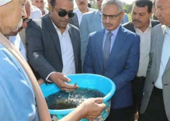 محافظ بني سويف يشهد إطلاق 250 ألف زريعة بلطي في النيل لدعم الثروة السمكية