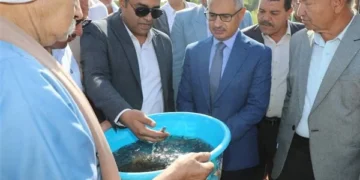 محافظ بني سويف يشهد إطلاق 250 ألف زريعة بلطي في النيل لدعم الثروة السمكية