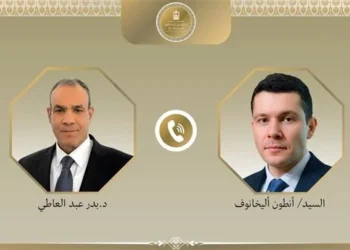 وزير الخارجية: تحديد المطور الصناعي للمنطقة الروسية بقناة السويس تمهيدًا لبدء التشغيل