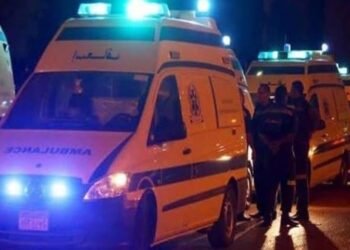 إصابة مواطن بلدغة ثعبان بقرية قرنفيل بالقناطر الخيرية