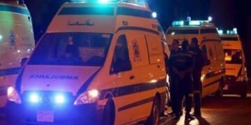 إصابة مواطن بلدغة ثعبان بقرية قرنفيل بالقناطر الخيرية
