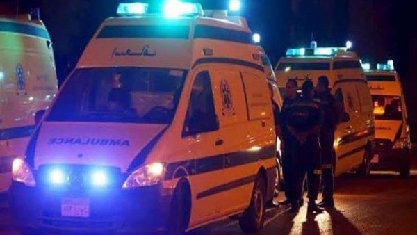 إصابة مواطن بلدغة ثعبان بقرية قرنفيل بالقناطر الخيرية