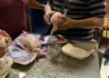 ضبط كميات كبيرة من الدواجن والأحشاء غير الصالحة للاستهلاك الآدمي في بورسعيد