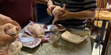 ضبط كميات كبيرة من الدواجن والأحشاء غير الصالحة للاستهلاك الآدمي في بورسعيد