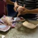 ضبط كميات كبيرة من الدواجن والأحشاء غير الصالحة للاستهلاك الآدمي في بورسعيد