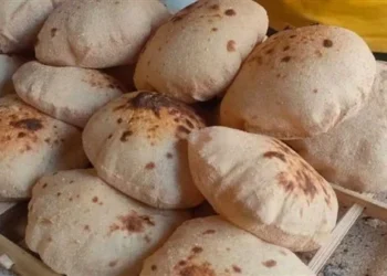 شعبة المخابز: لا زيادة في سعر العيش المدعم رغم ارتفاع الدقيق