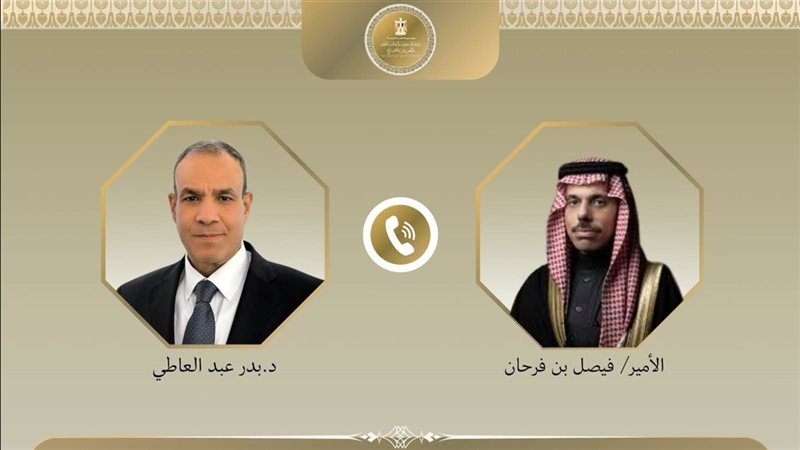 وزيرا خارجية مصر والسعودية يرفضان محاولات عرقلة حرية الملاحة الدولية