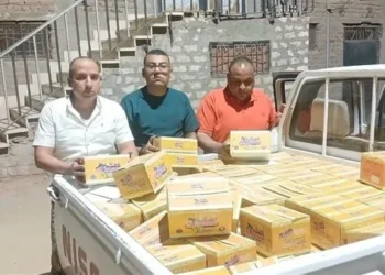 ضبط 6000 قطعة لوليتا مجهولة المصدر بالأقصر
