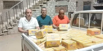 ضبط 6000 قطعة لوليتا مجهولة المصدر بالأقصر