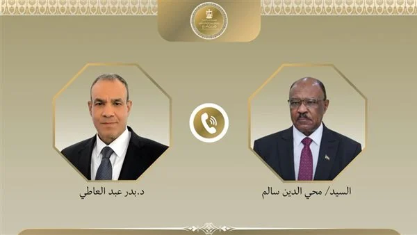 وزير الخارجية يؤكد لنظيره السوداني استعداد مصر والشركات المصرية للمساهمة في عملية إعادة إعمار السودان