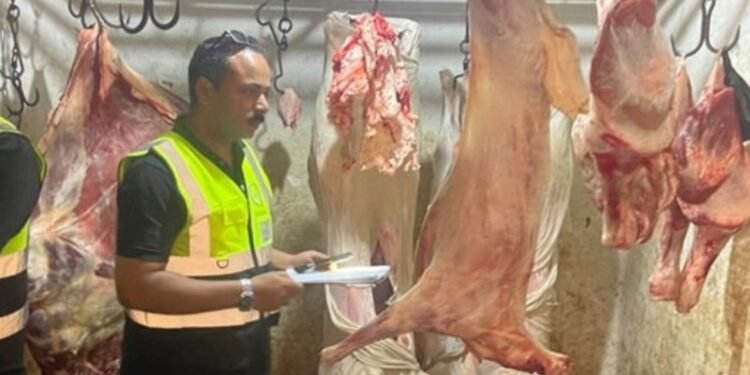 ضبط طن و260 كجم ذبائح فاسدة بالدقهلية