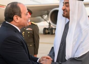 السيسي ورئيس دولة الإمارات يبحثان تطورات القضايا الإقليمية والدولية