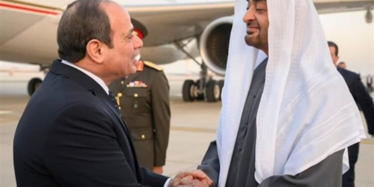 السيسي ورئيس دولة الإمارات يبحثان تطورات القضايا الإقليمية والدولية