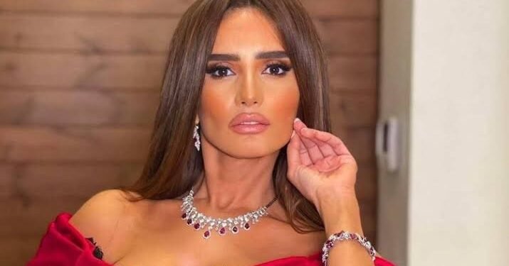 تأجيل الحكم في استئناف رجل أعمال بقضية مطاردة نجلي زينة بكلب إلى 28 يوليو