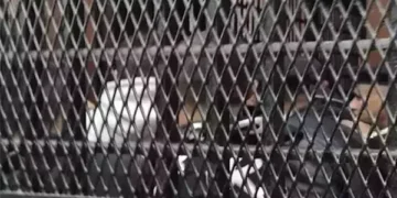 تجديد حبس أب متهم بقتل ابنته بعد تعذيبها في بولاق الدكرور
