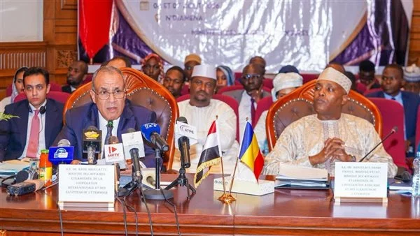 مصر وتشاد تبحثان تعزيز التعاون المشترك خلال الدورة الرابعة للجنة الثنائية في إنجامينا