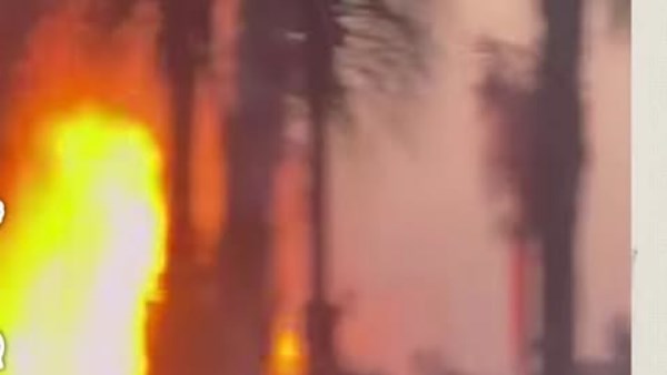اندلاع حريق هائل في بورتو مارينا على البحر المتوسط بالساحل الشمالي