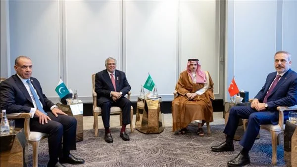 مصر والسعودية وباكستان وتركيا تؤكد ضرورة حماية الملاحة في هرمز وباب المندب