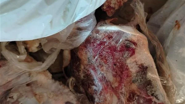 30 عجلًا و70 كيلو لحوم فاسدة.. تفاصيل حملة مفاجئة على مطاعم ومحال العبور