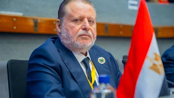 ماذا جدد الرئيس تعيين حسن عبد الله محافظًا للبنك المركزي؟.. التفاصيل