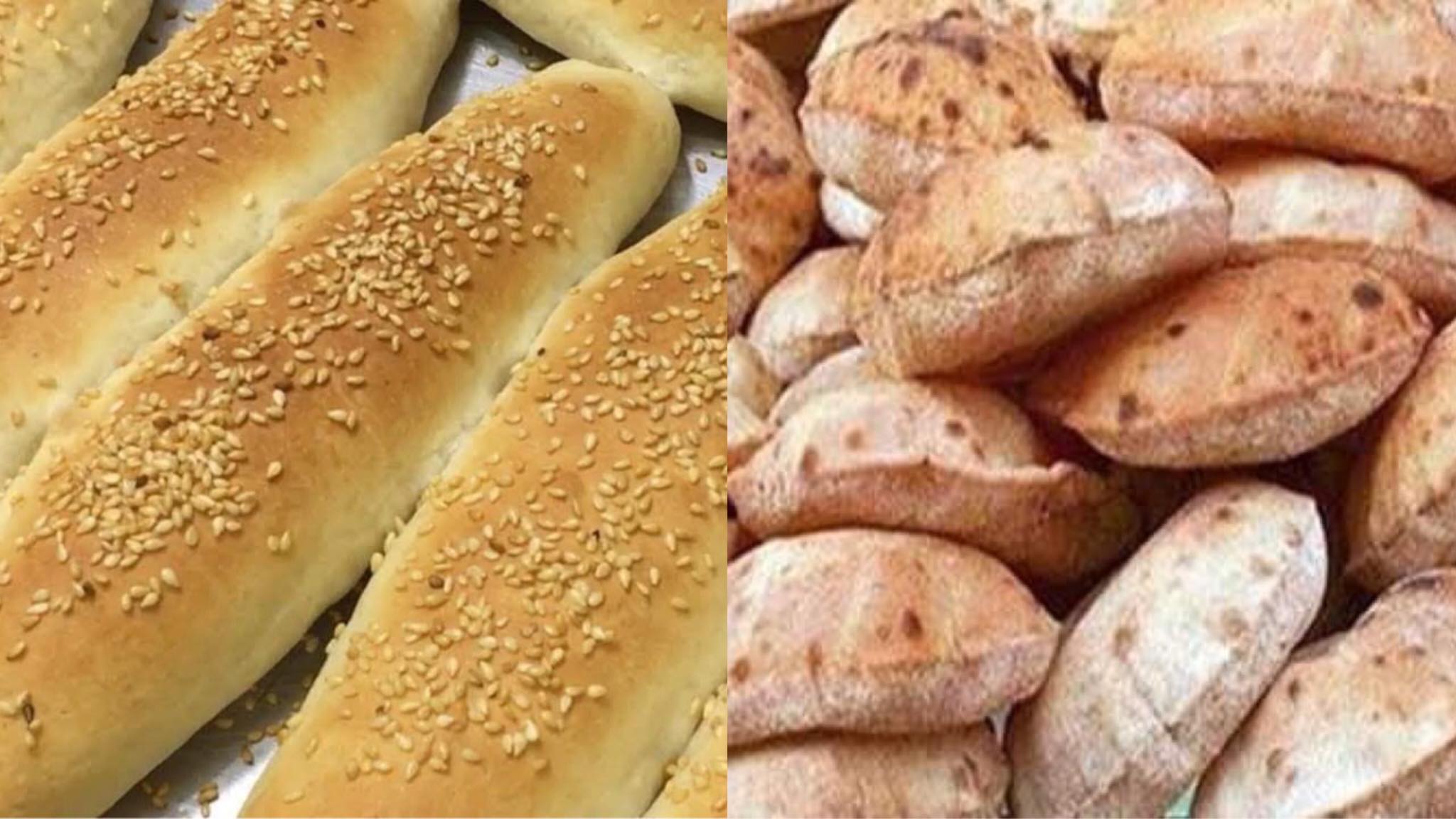 التموين تكشف مفاجآت عن الفينو والخبز السياحي