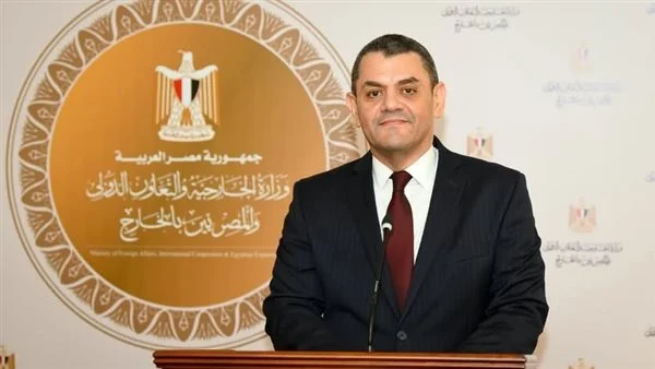 قرار جديد من “الخارجية”.. السفير نادر زكي متحدثًا رسميًا للوزارة