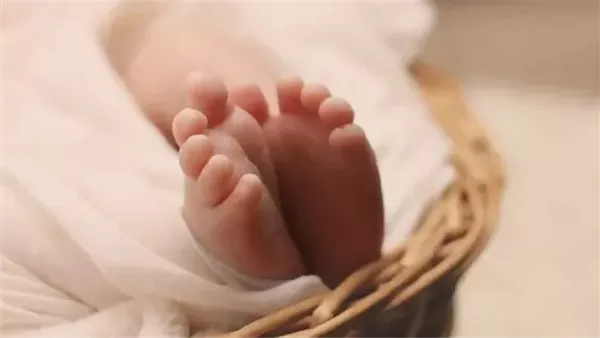 العثور على رضيعة ملقاة داخل صندوق قمامة بعين شمس.. ماذا حدث؟